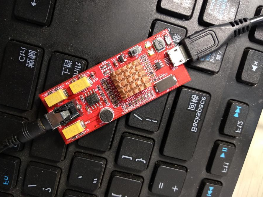 The appearance after adding the casing: MicroUSB Version