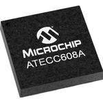 Encryption Chips