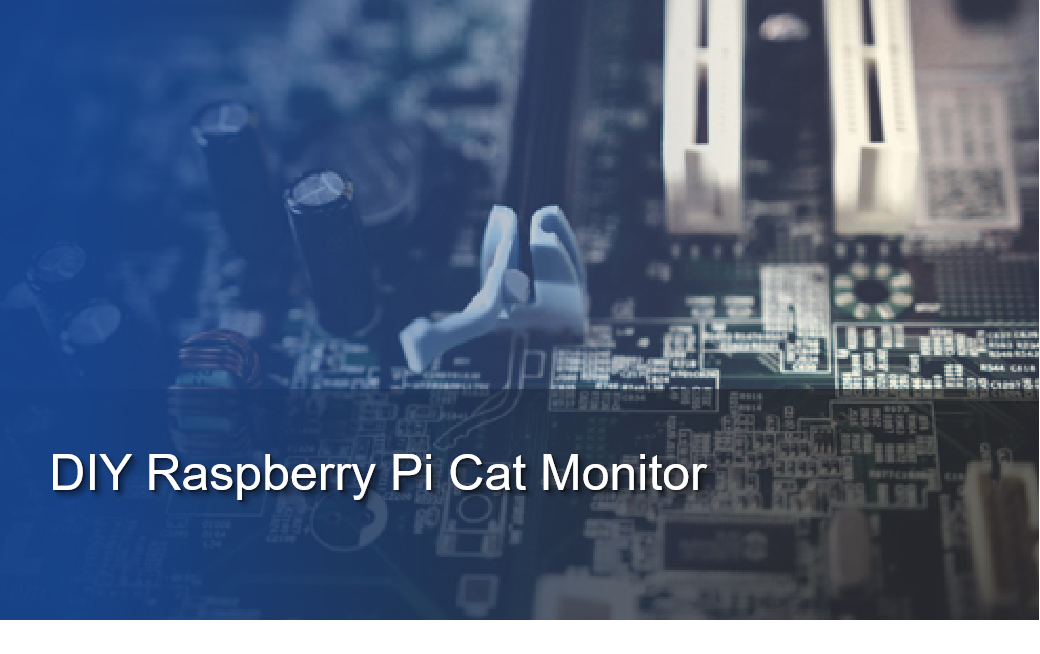 DIY Raspberry Pi Cat Monitor