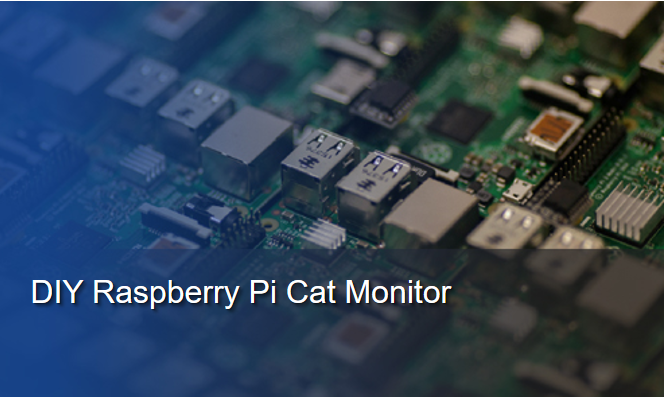 DIY Raspberry Pi Cat Monitor